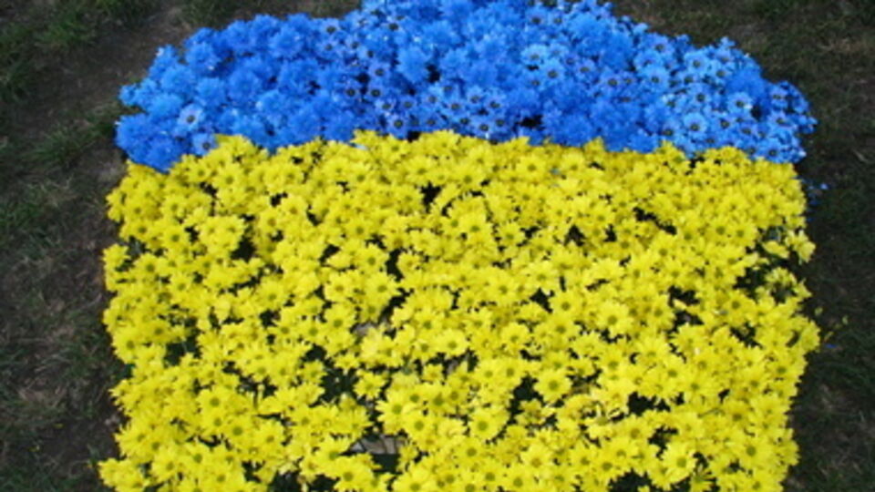 Высадка цветов начнется уже 27 мая