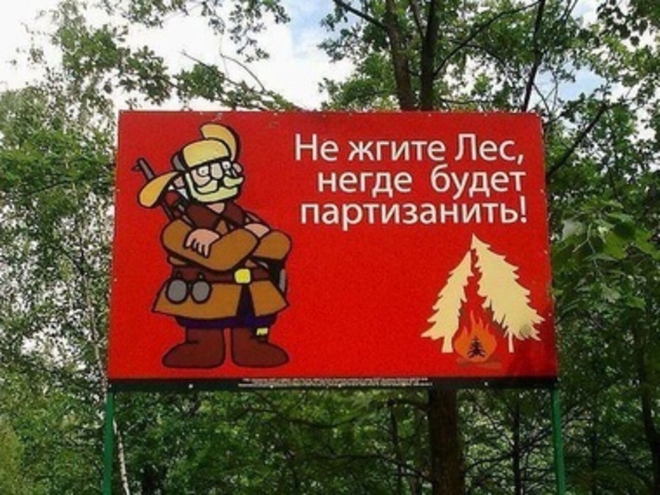 В зоне риска весенних лесных пожаров находятся южные и восточные регионы Украины