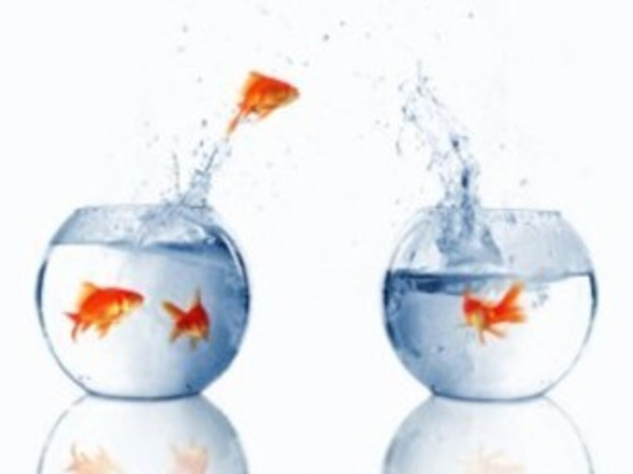 Боевики похитили представителя "Батьківщини"