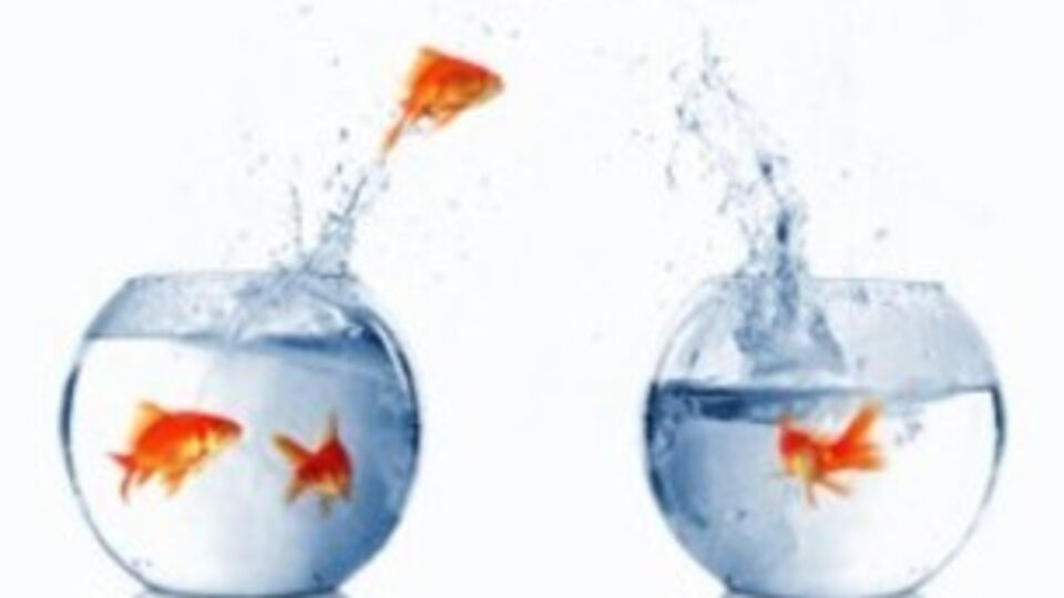 Боевики похитили представителя "Батьківщини"