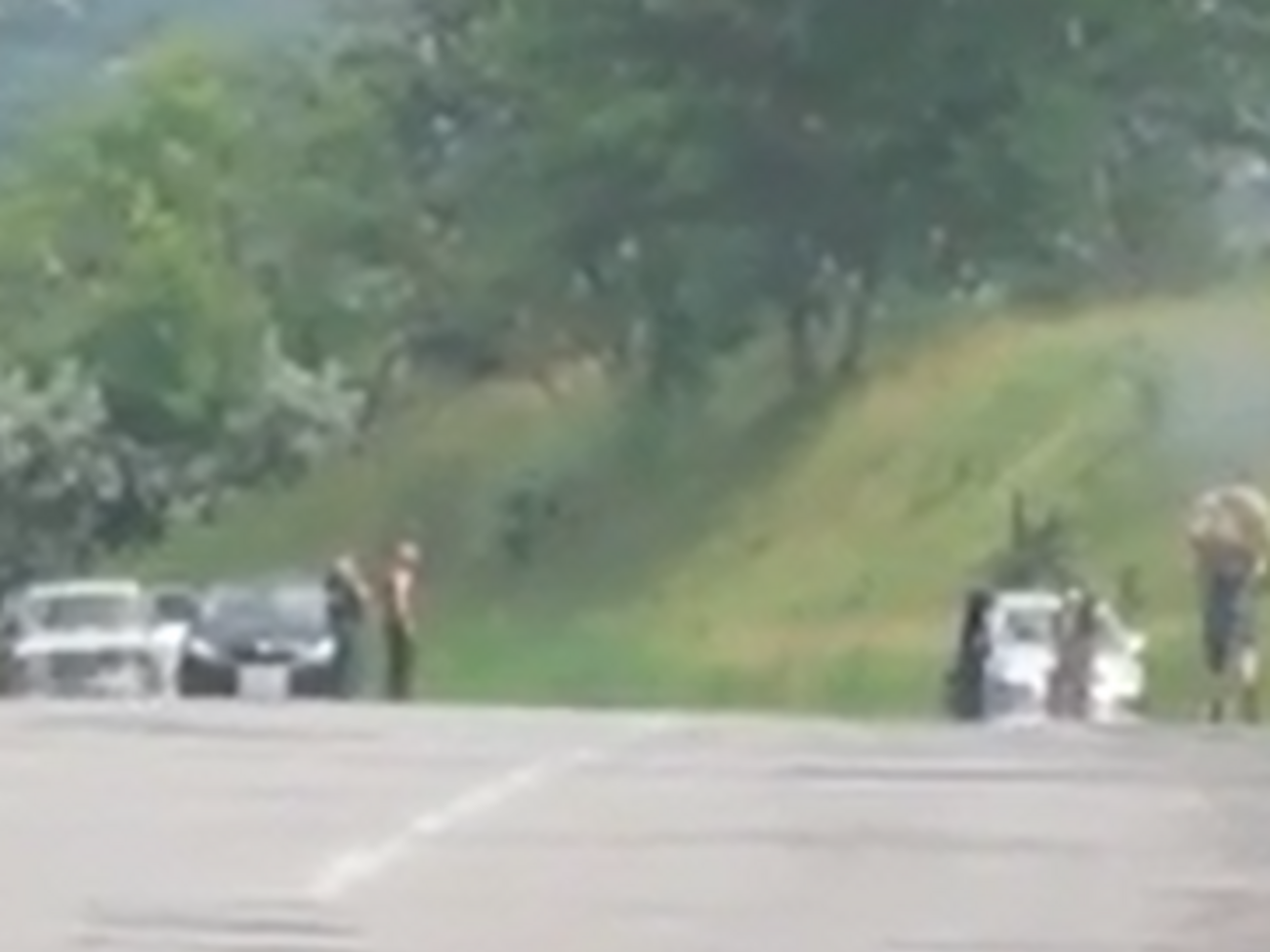 Группа украинских военных ушла в лесополосу