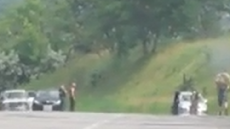 Группа украинских военных ушла в лесополосу