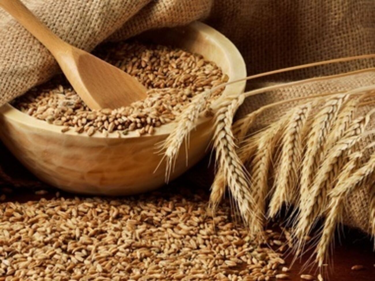 По экспорту пшеницы Украина занимает в мире шестое место, а по поставкам кукурузы &ndash; третье