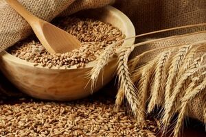 По экспорту пшеницы Украина занимает в мире шестое место, а по поставкам кукурузы – третье