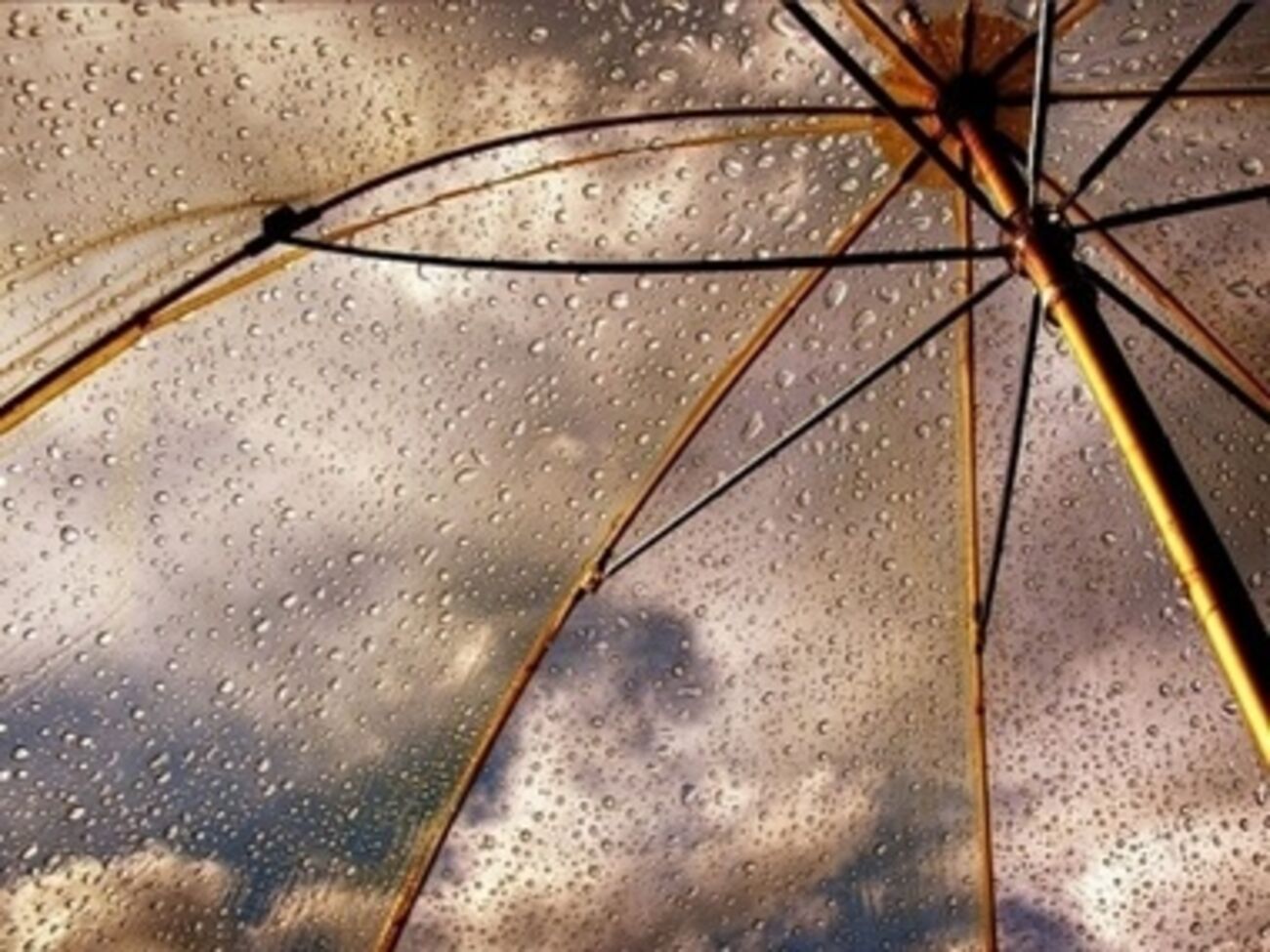 На протяжении всех выходных в Украине прогнозируются ливни и грозы