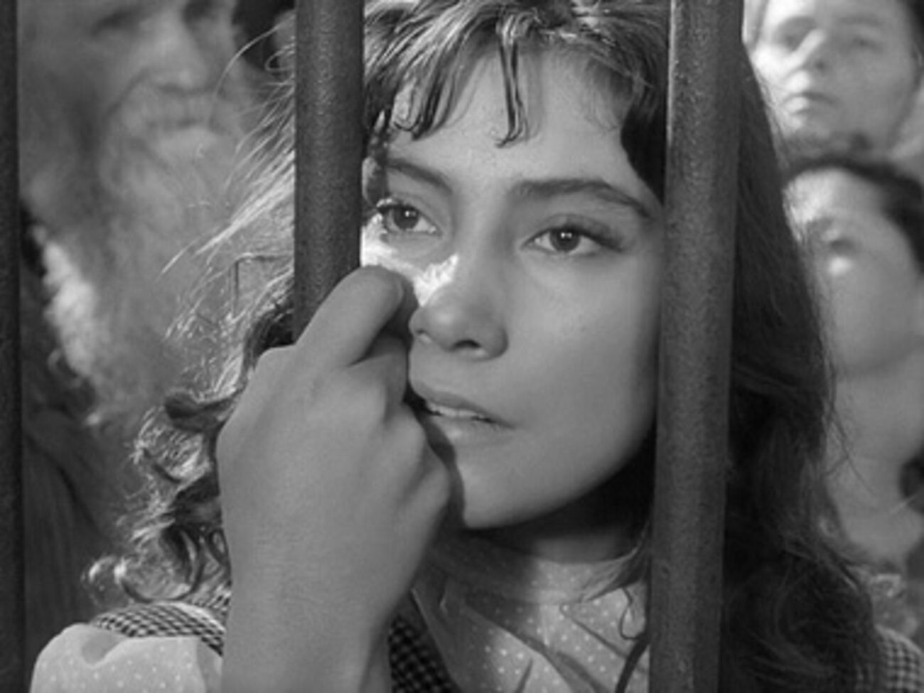 Кадр из фильма "Летят журавли"