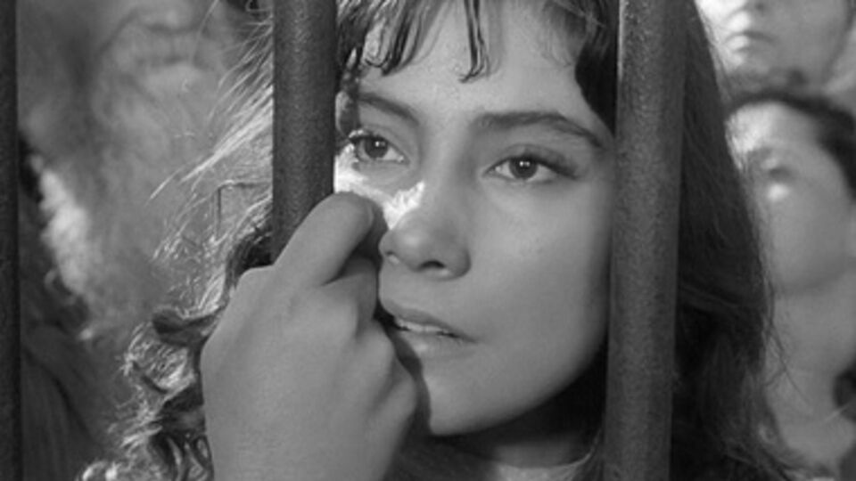 Кадр из фильма "Летят журавли"