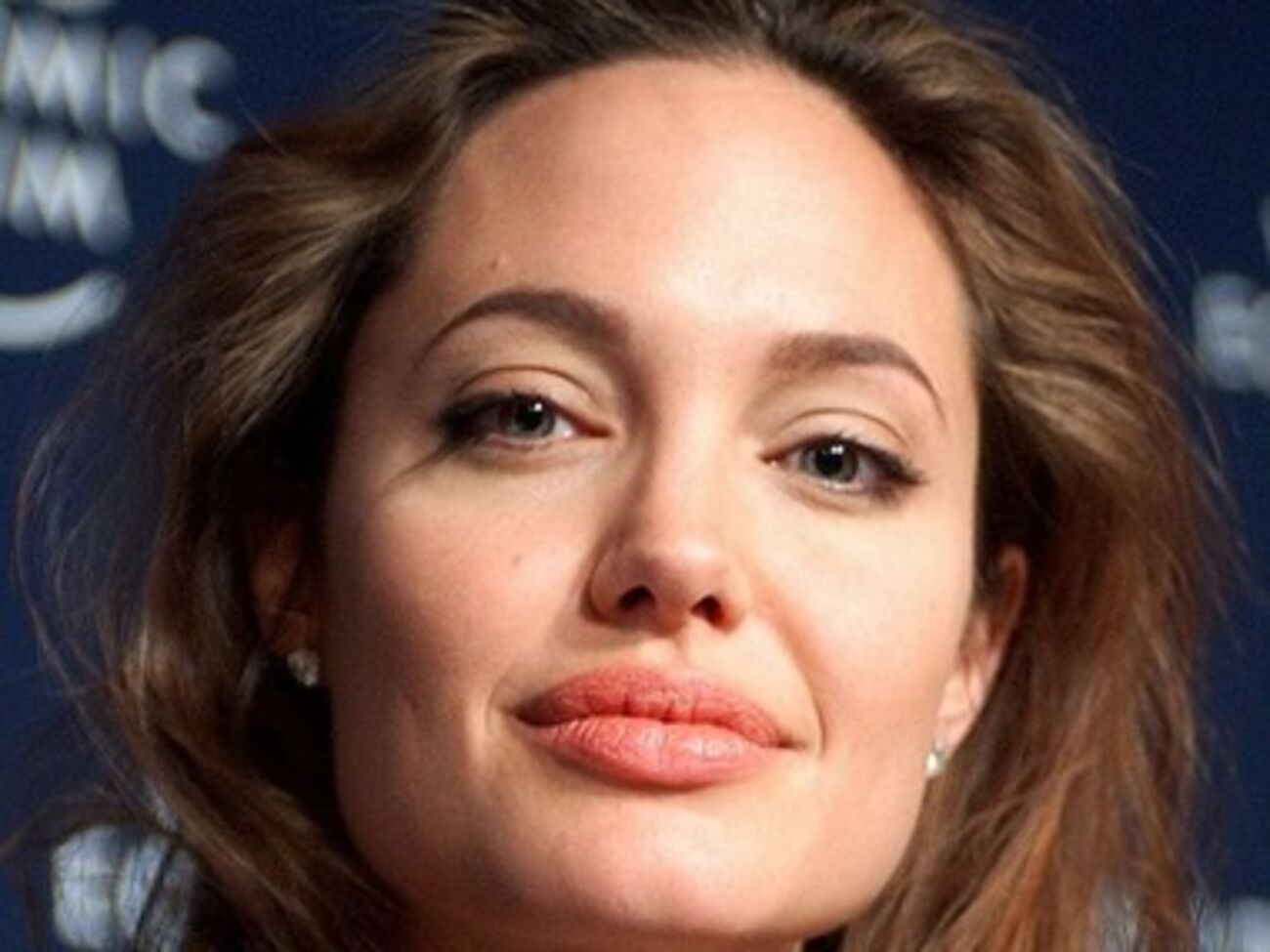 Джоли известна своей активной гражданской деятельностью