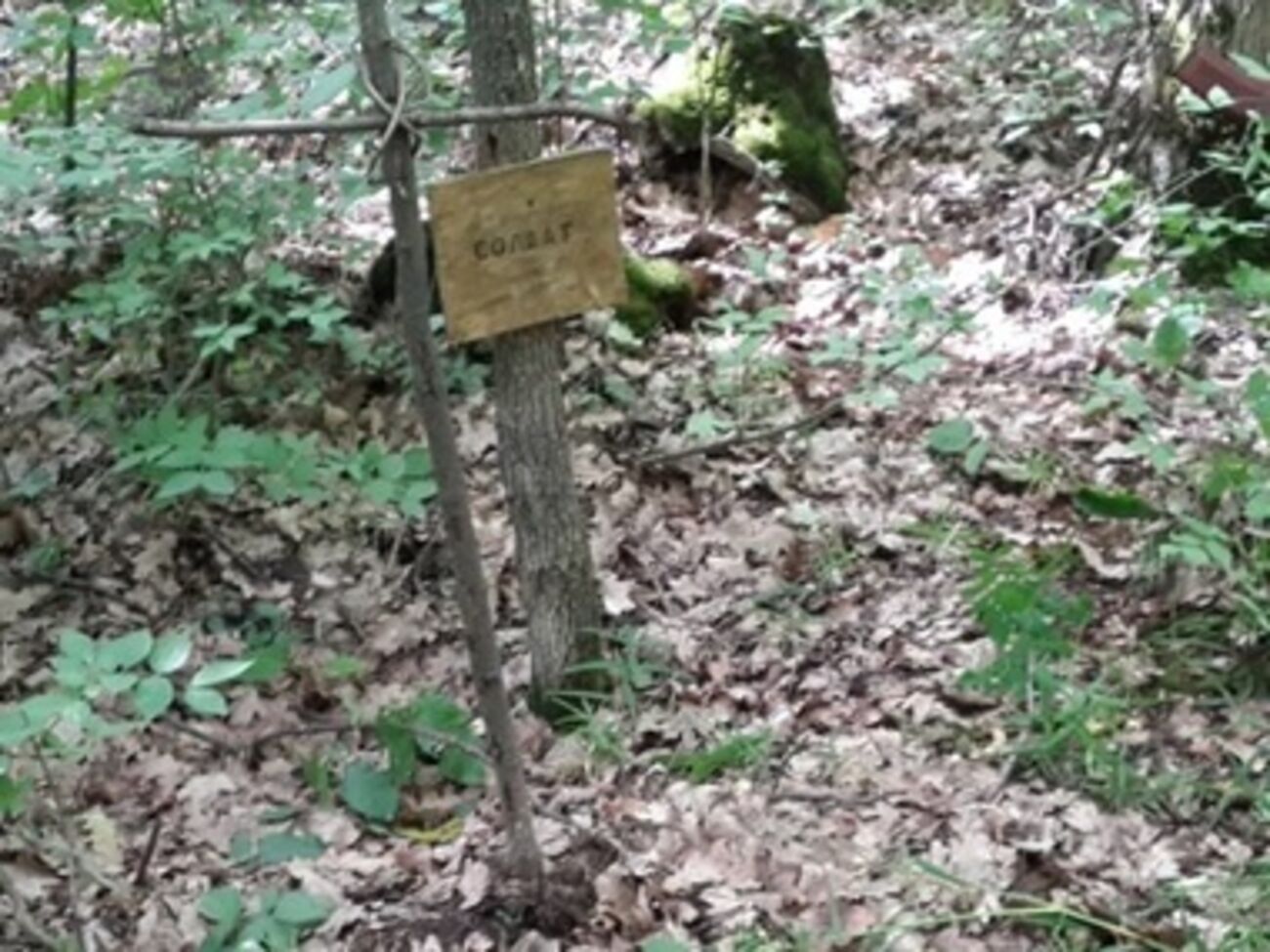 Рядом с трассой Изюм &ndash; Славянск военные обнаружили несколько захоронений боевиков