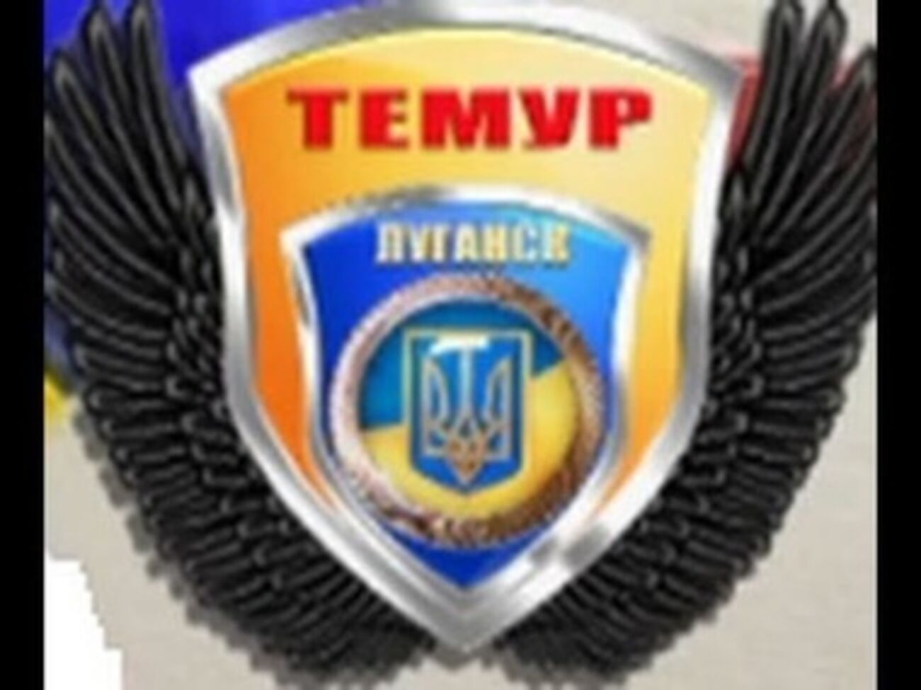 Командир спецбатальона уже в Киеве