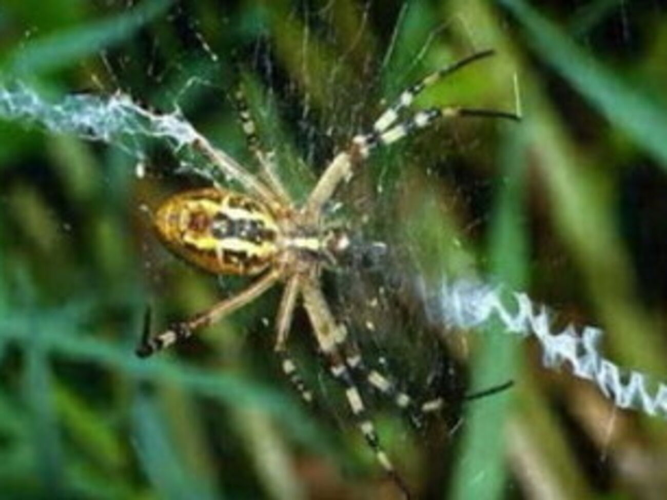 На границе между Украиной и Россией будут установлены&nbsp;инженерные сооружения