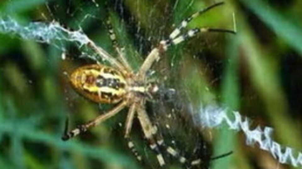 На границе между Украиной и Россией будут установлены инженерные сооружения