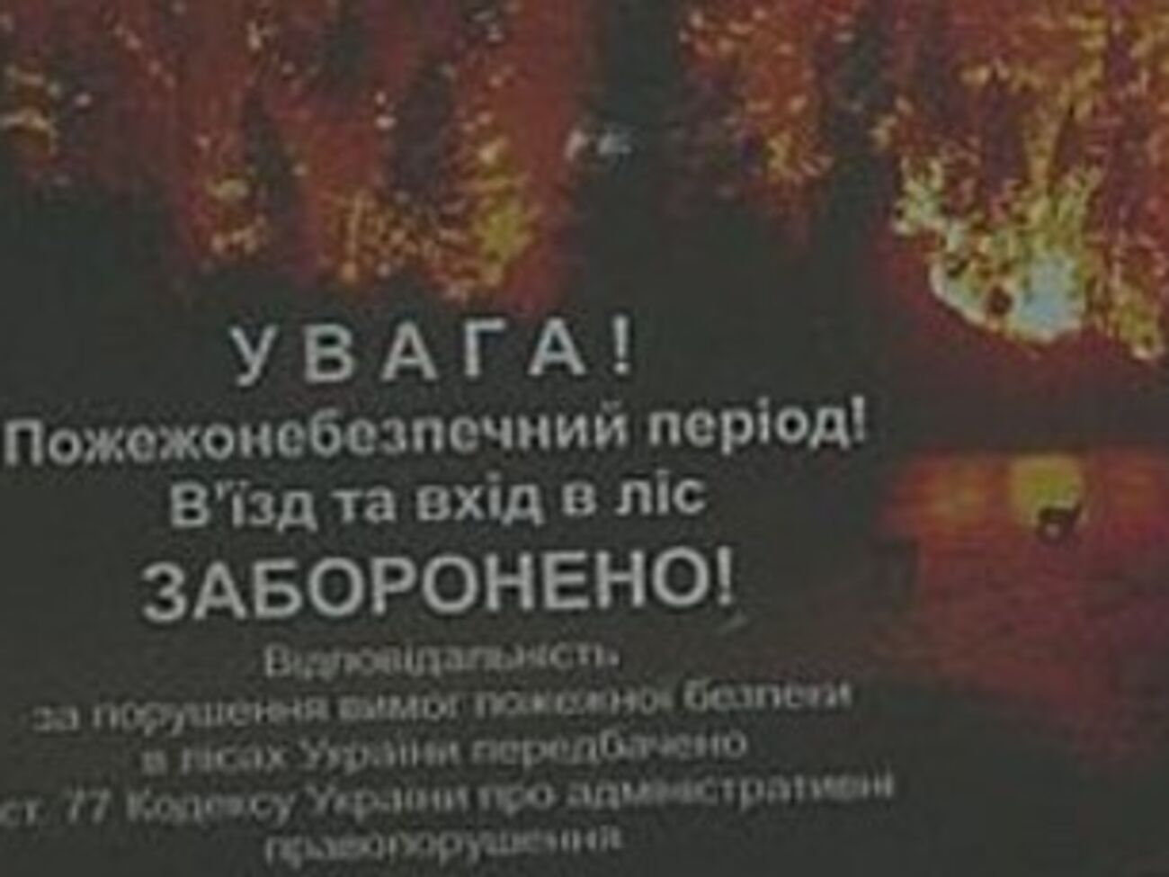 Договор состоит из 17-ти пунктов