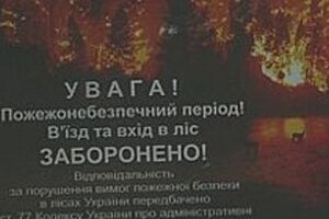 Договор состоит из 17-ти пунктов