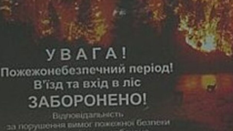 Договор состоит из 17-ти пунктов