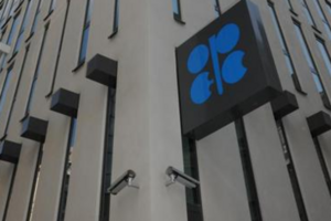 ОПЕК призвал Украину и РФ прийти к консенсусу по газовому вопросу