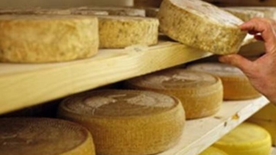 Общие доходы от продажи молочной продукции в Украине упали на 5%