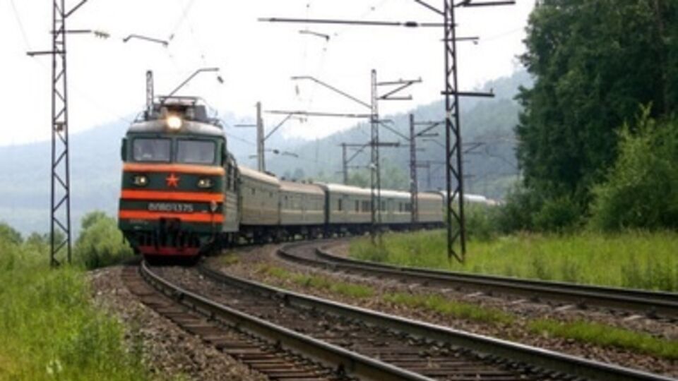 Бойцы батальона "Днепр" прочесывают лесополосу в поисках укрытий провокаторов