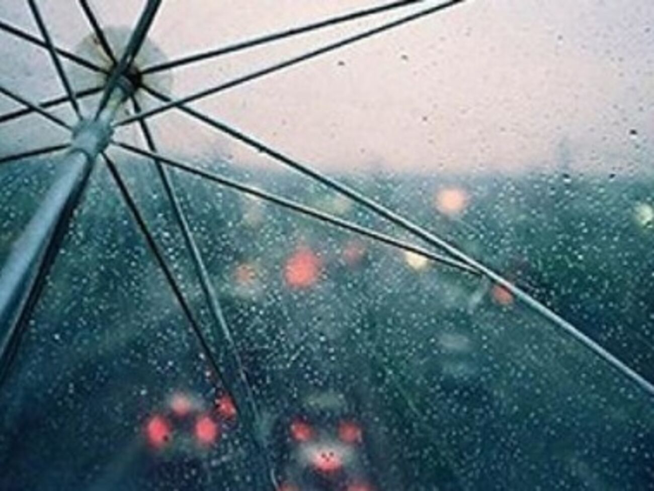 Лето 2014 года будет дождливым