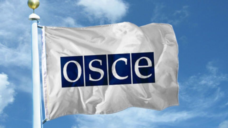 Специальная мониторинговая миссия ОБСЕ призывает немедленно освободить своих коллег