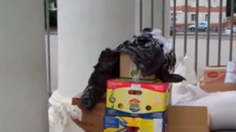 Гуманитарна помощь передается военнослужащим "из рук в руки"