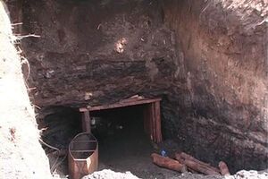 В нелегальной шахте погибли два гонряка