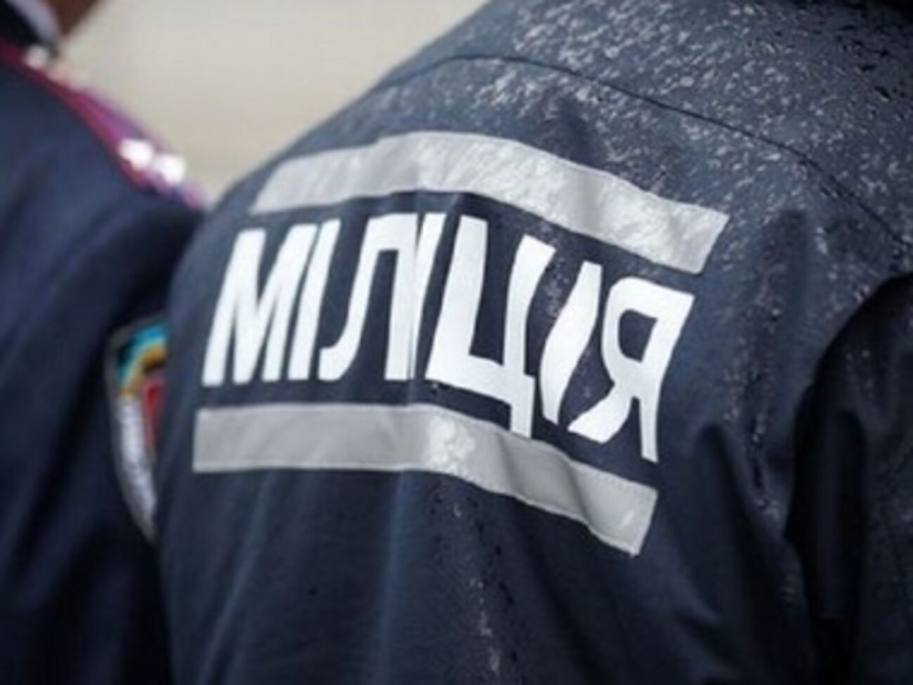МВД проводит служебную проверку по факту столкновения активистов и милиции