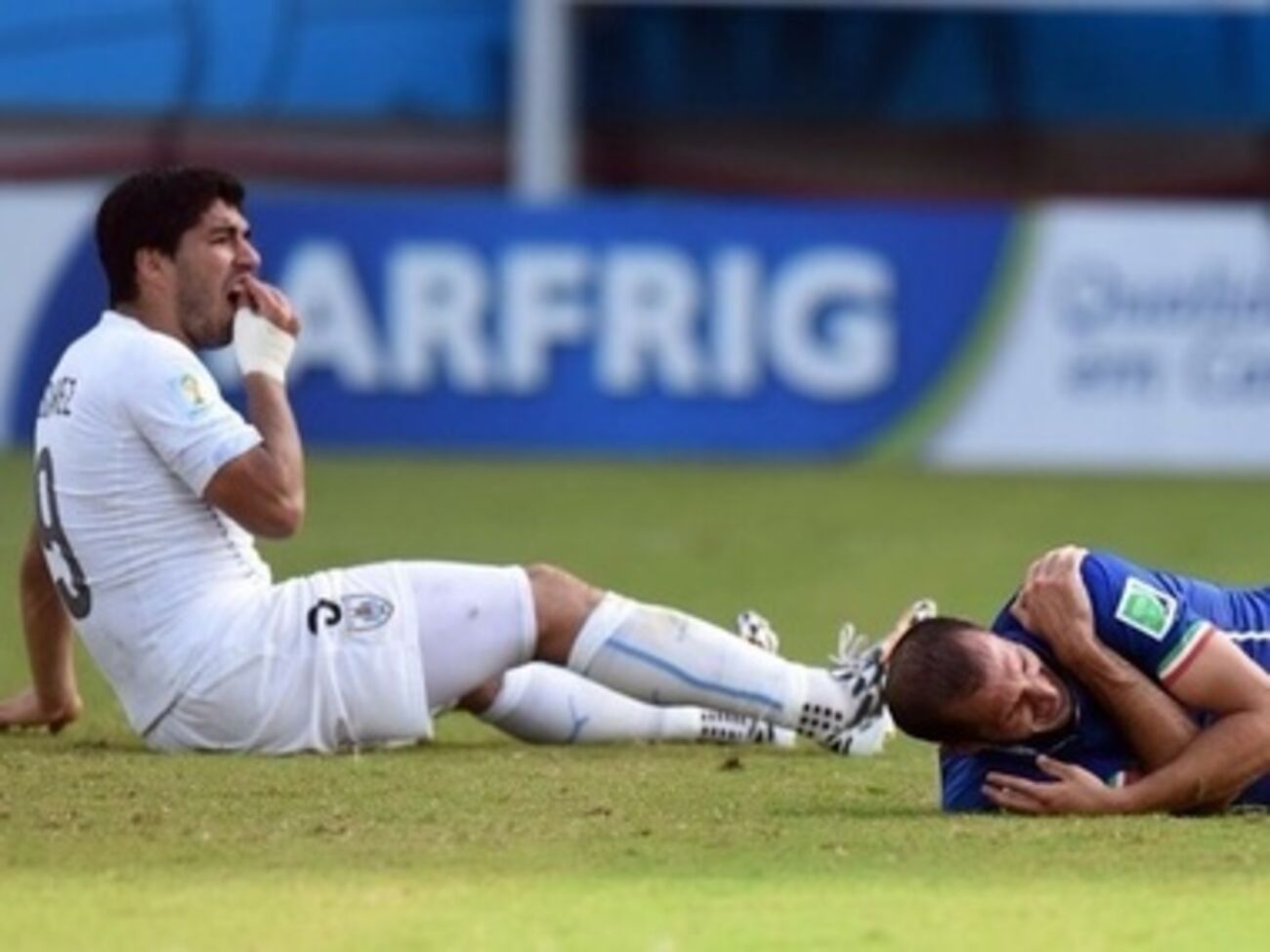 От укуса страдает не только жертва, но и агрессор