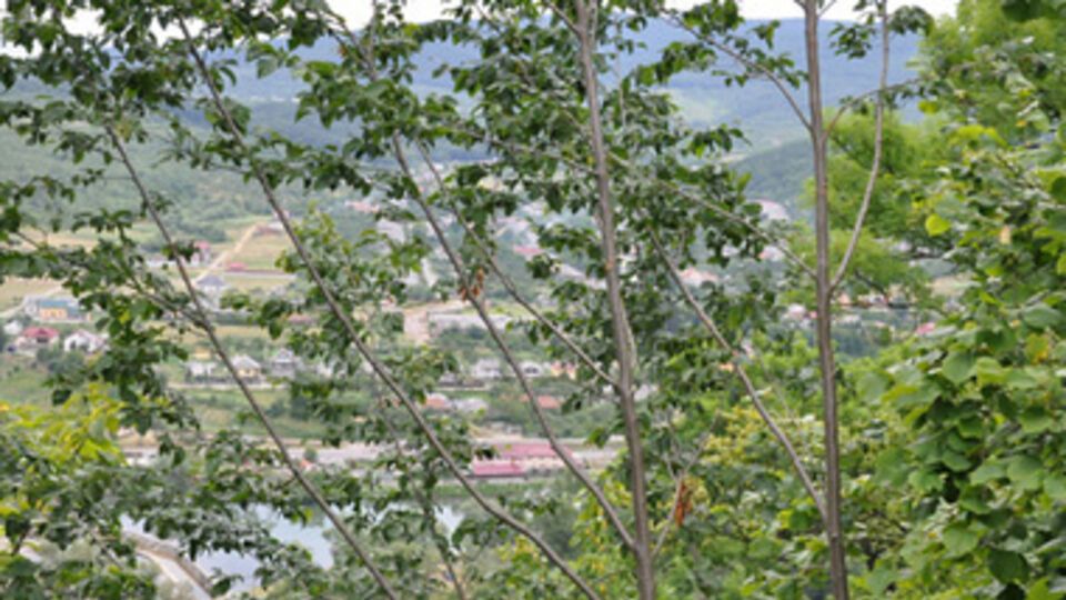 На основании актов выполненных работ государственное предприятие переводило денежные средства на расчетные счета псевдофирмы