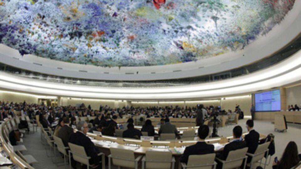 ООН призывает прекратить дискриминацию и притеснения, в том числе в Крыму