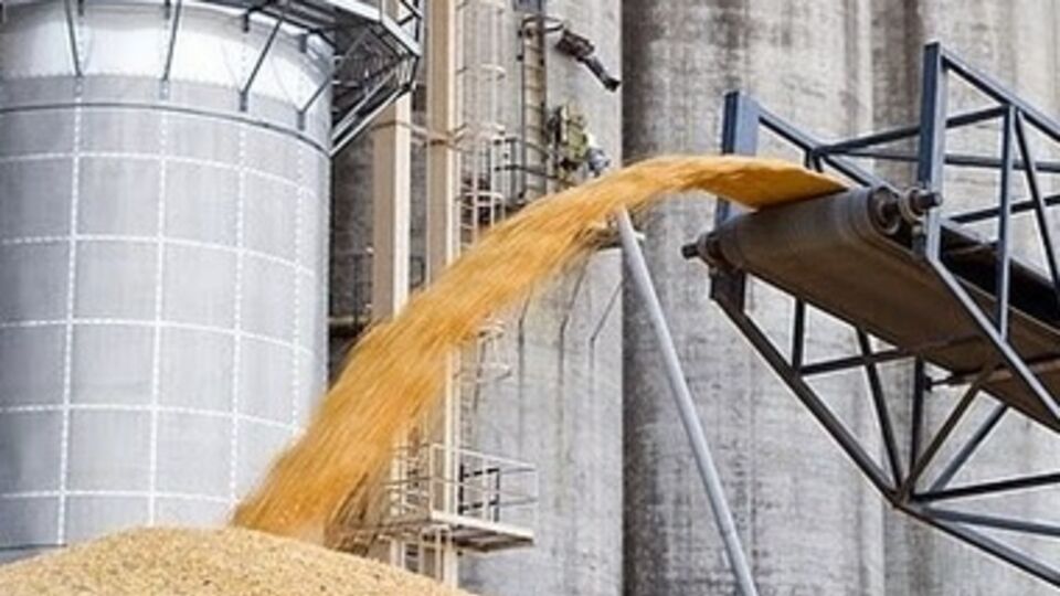 В Крыму не знают, кому продавать зерно