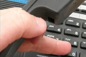 С 12 июня на горячую линию позвонили больше тысячи человек