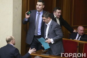 На принятии законопроекта настаивала партия УДАР Виталия Кличко, лидер которой был избран мэром Киева