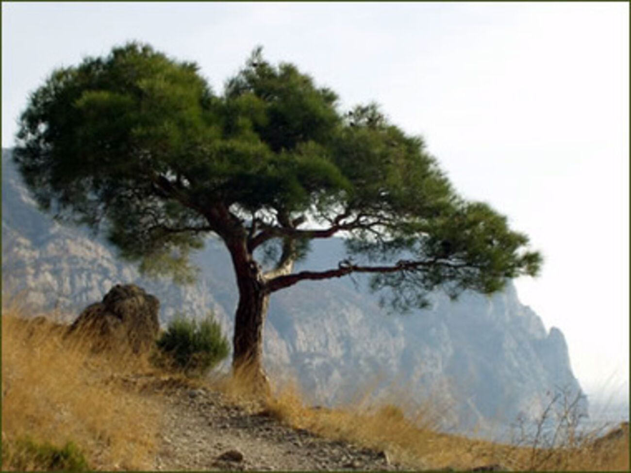 На четырех площадках новосозданного парка будут размещены 85 садов с растениями-победителями из всех регионов России