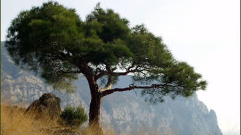 На четырех площадках новосозданного парка будут размещены 85 садов с растениями-победителями из всех регионов России