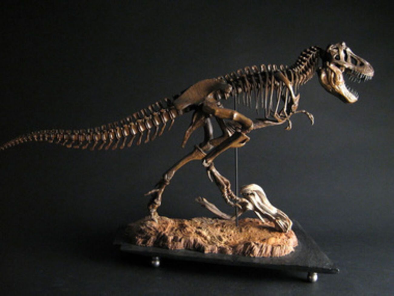 Американец ввозил в США скелеты динозавров