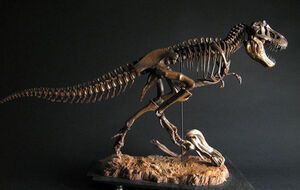 Американец ввозил в США скелеты динозавров