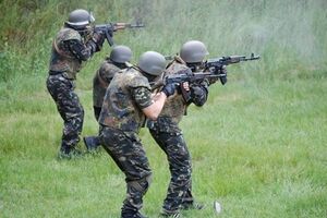 Из 630 солдат батальона "Донбасс" будет отобрано 460 самых подготовленных бойцов