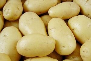 В РФ снова нашли причину, по которой не будут принимать продукцию из Украины