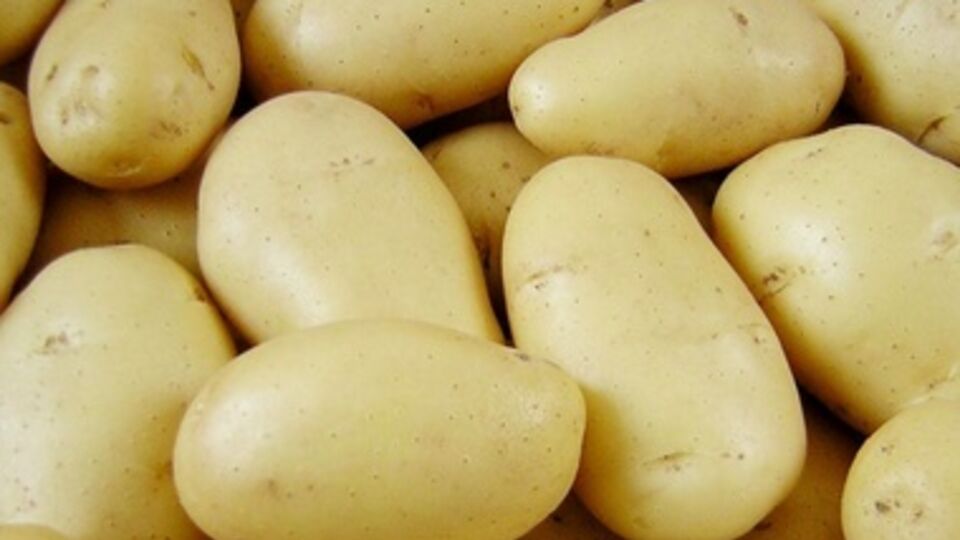 В РФ снова нашли причину, по которой не будут принимать продукцию из Украины