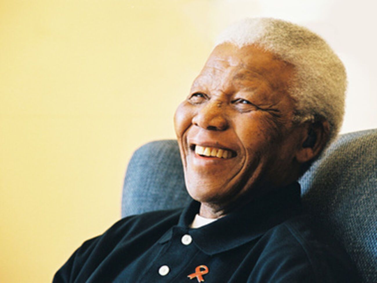 Нельсон Мандела &ndash; первый афроамериканский президент Южной Африки&nbsp;и лауреат Нобелевской премии мира