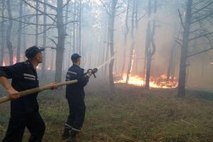 Огнем повреждено 140 гектаров леса