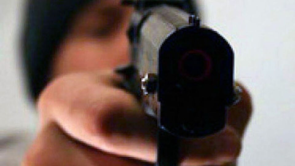 У злоумышленников изъяли холодное и огнестрельное оружие, боеприпасы, а также ручную гранату Ф-1