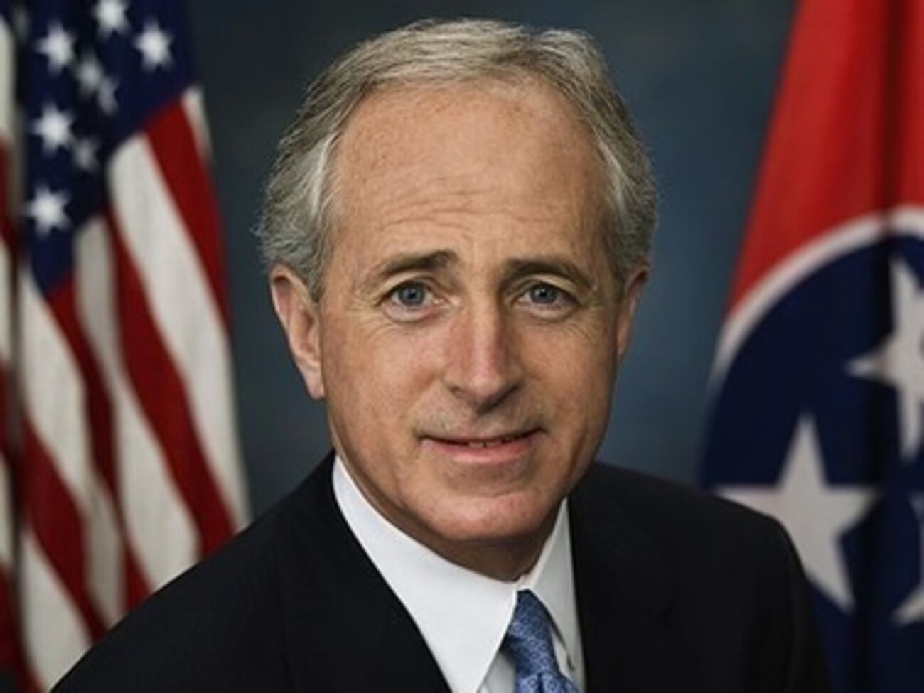 Коркер считает, что США должны предоставить Украине военную помощь