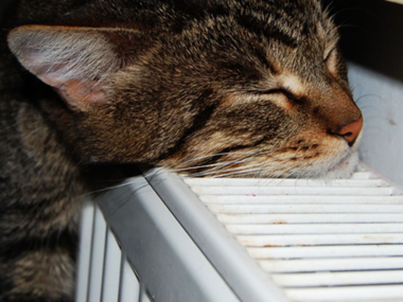 В хранилищах достаточно газа для отопительного сезона