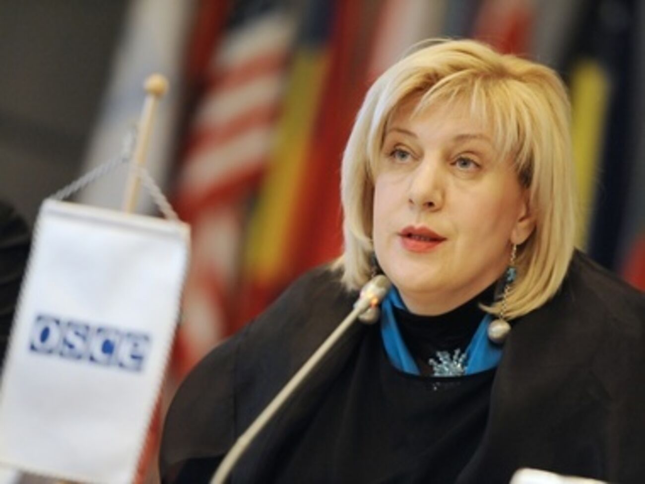 Дуня Миятович: Безопасность журналистов &ndash; это один из столпов свободы СМИ