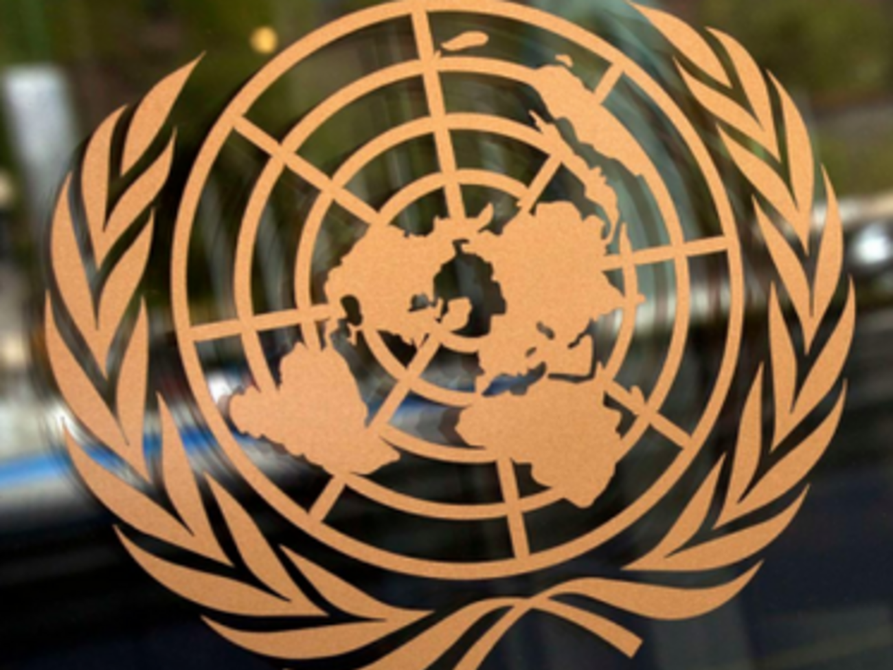 ООН опубликовала обновленные данные о количестве внутренних переселенцев в Украине