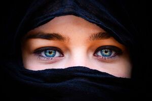 За ношение паранджи мусульманка будет вынуждена заплатить штраф до €150