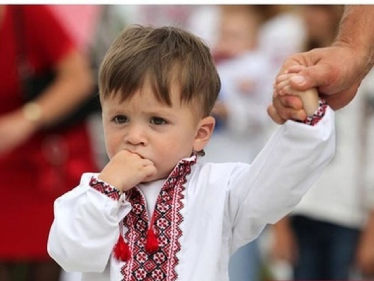 Детей эвакуировали из детских учреждений Славянска, Краматорска и Лисичанска