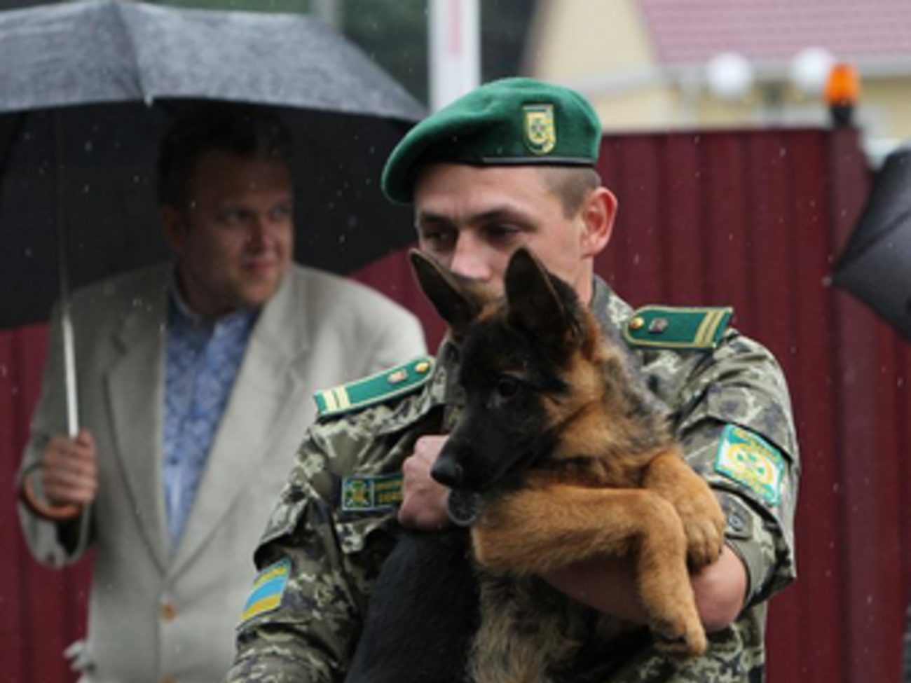 Пограничникам кинологи подарили 30 щенков служебных пород. Фоторепортаж